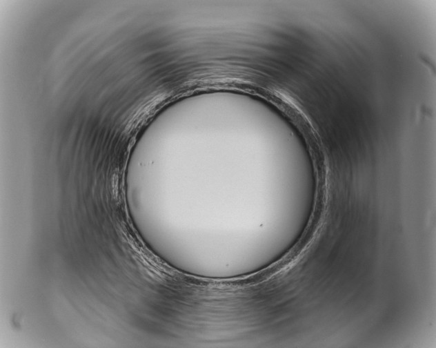 X0000102790777200808180953