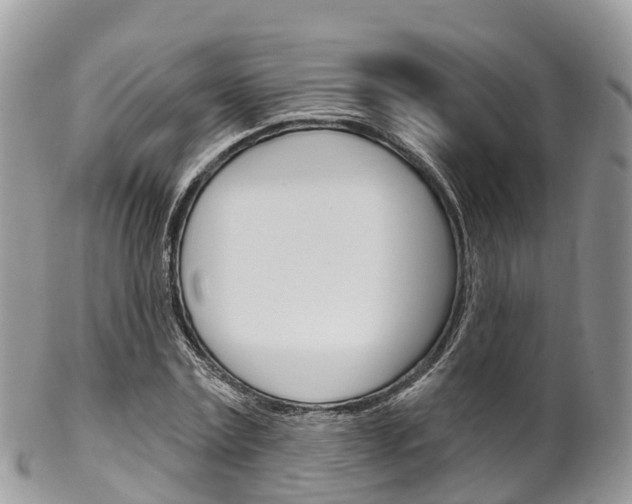 X0000102790779200808180952