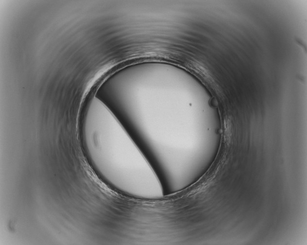 X0000102790780200808180952