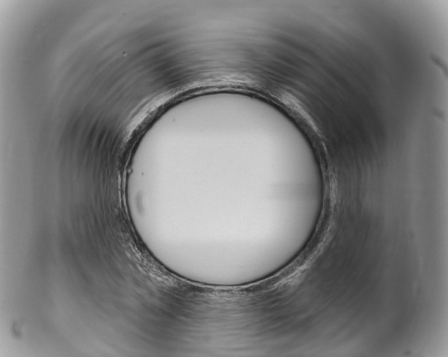 X0000102790781200808180952