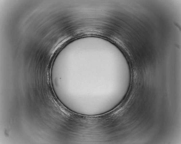 X0000102790782200808180952