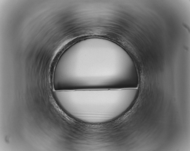X0000102790784200808180952