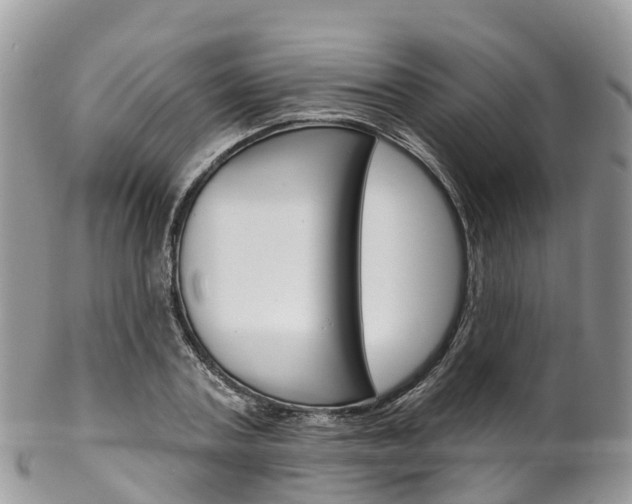X0000102790787200808180952