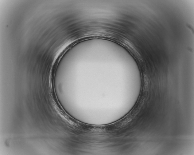 X0000102790788200808180952