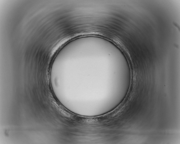 X0000102790789200808180952