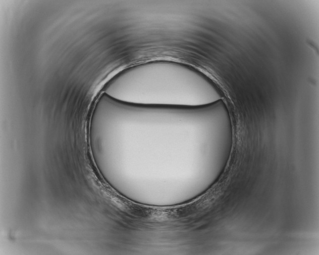 X0000102790790200808180952