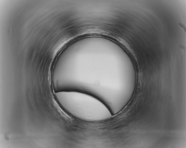 X0000102790791200808180952