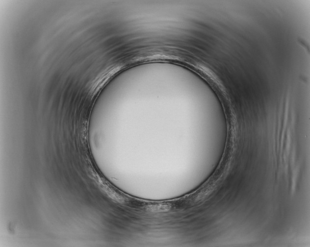 X0000102790793200808180952