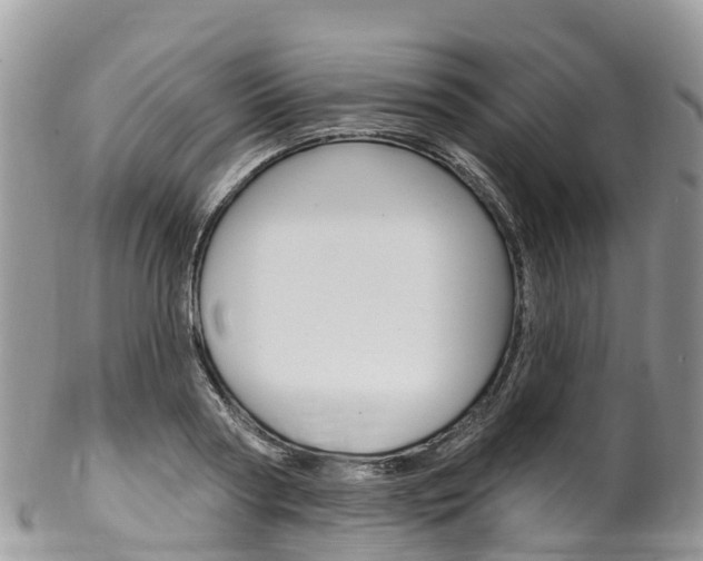 X0000102790794200808180952