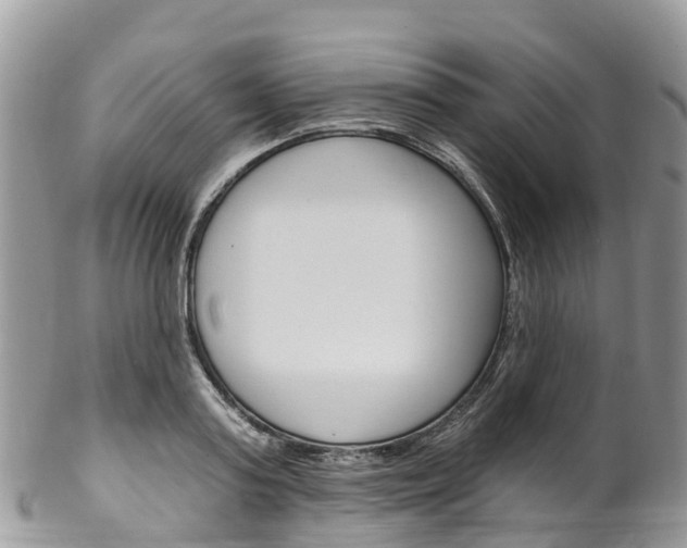 X0000102790795200808180952