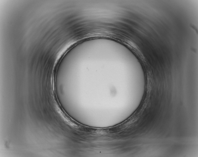 X0000102790796200808180952