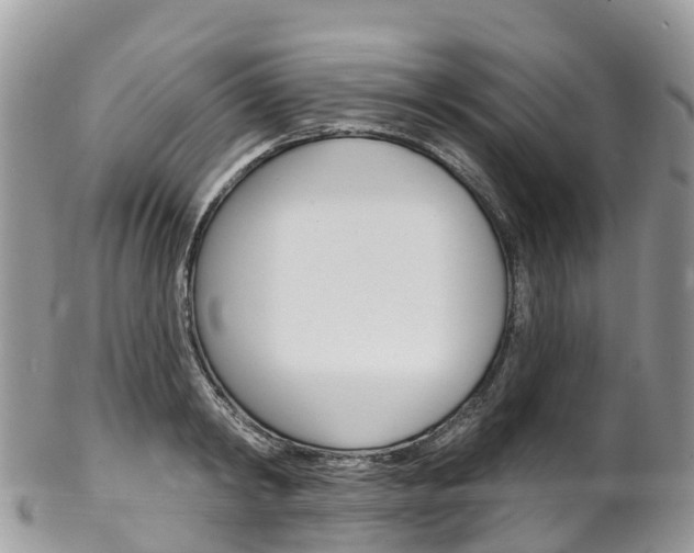 X0000102790798200808180952