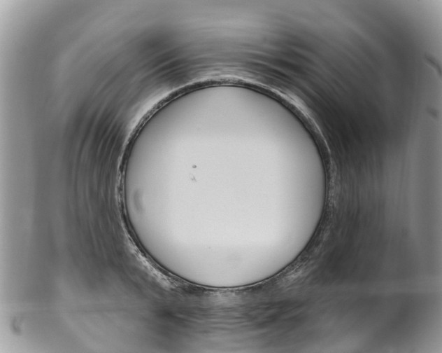 X0000102790799200808180952
