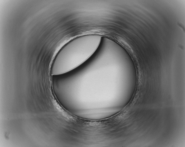X0000102790800200808180952