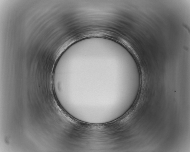 X0000102790802200808180952