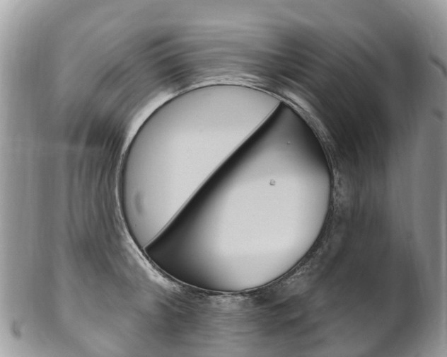 X0000102790804200808180952