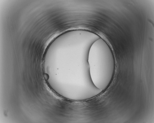 X0000102790805200808180952