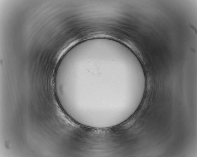X0000102790806200808180952