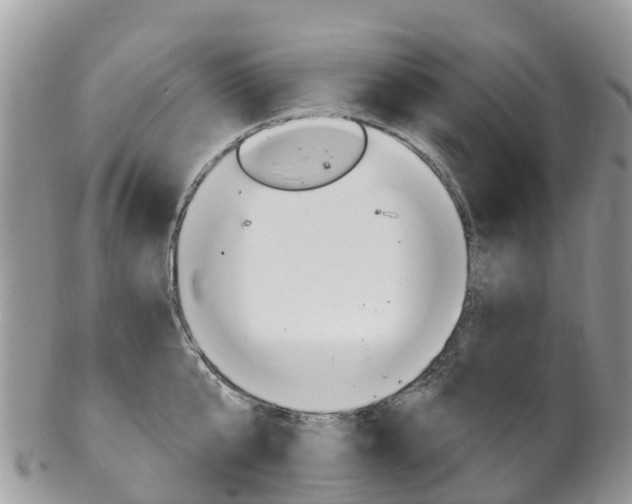 X0000102790807200808180952