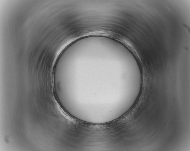 X0000102790808200808180952