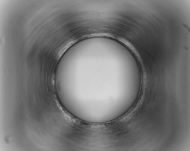 X0000102790809200808180952