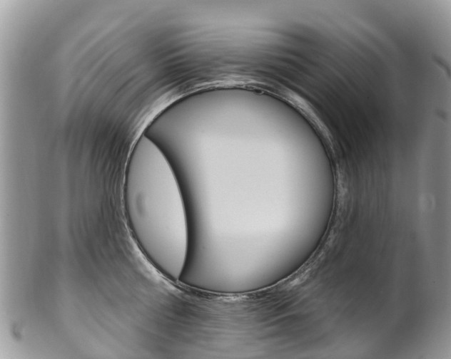 X0000102790810200808180952