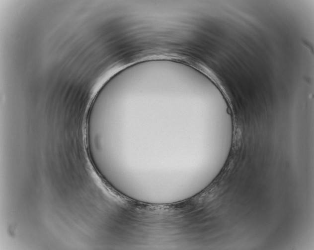 X0000102790811200808180952