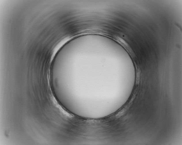 X0000102790812200808180952