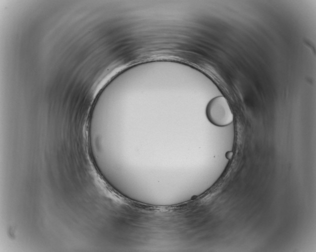 X0000102790814200808180952