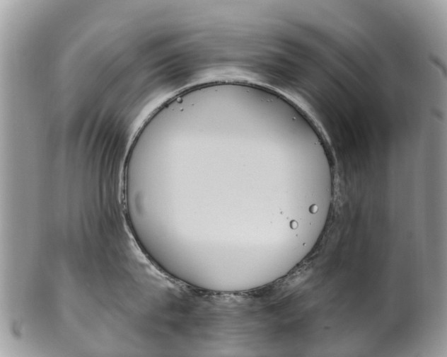X0000102790815200808180952