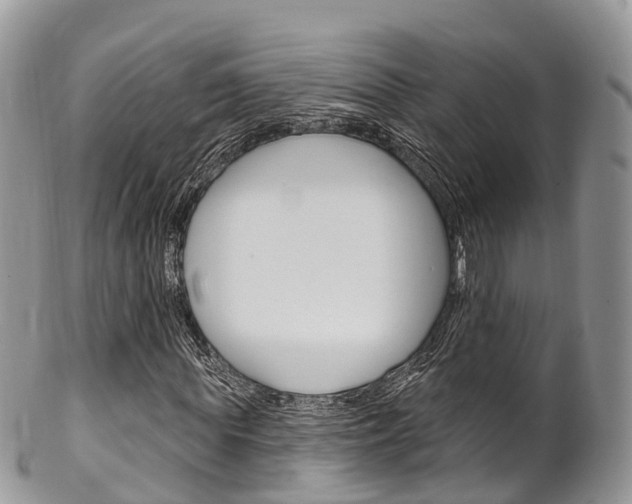 X0000102790819200808180951