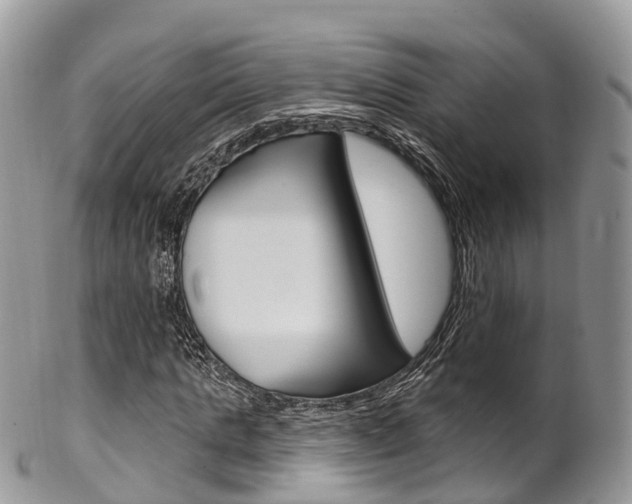 X0000102790821200808180951