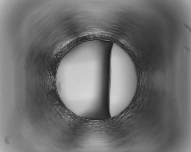 X0000102790822200808180951