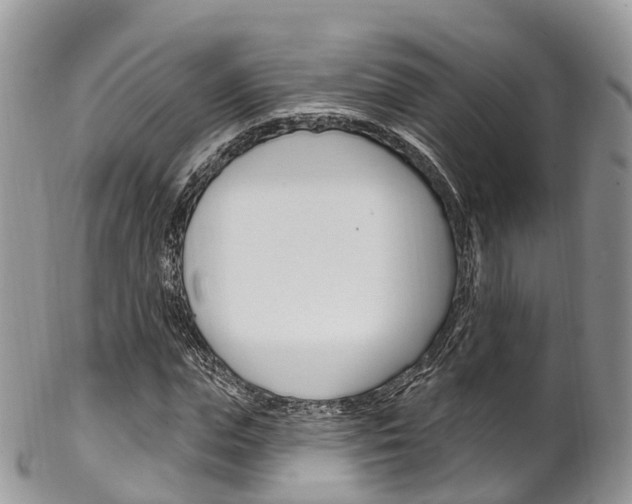 X0000102790823200808180951
