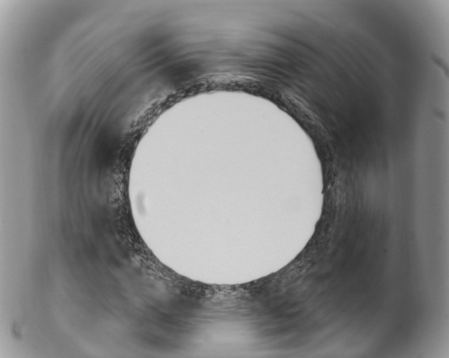 X0000102790824200808180951