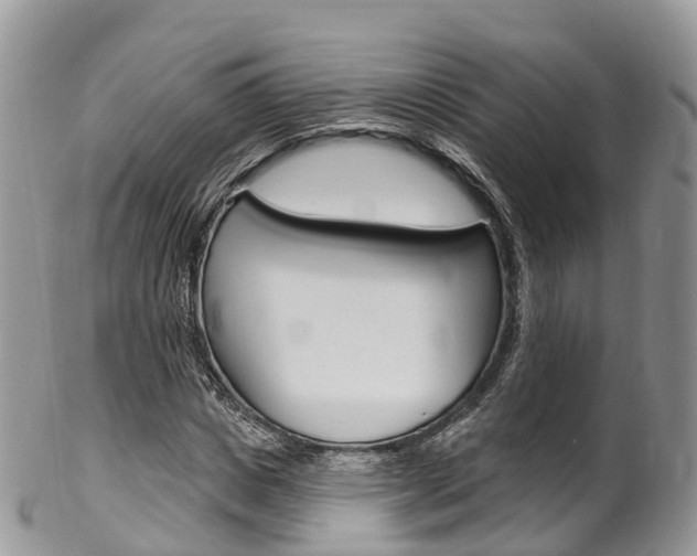 X0000102790825200808180951