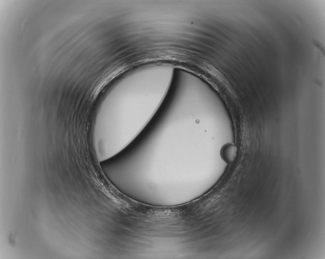 X0000102790826200808180951