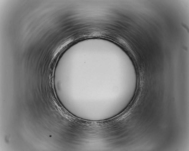 X0000102790827200808180951