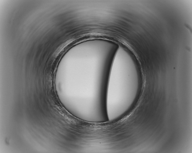 X0000102790829200808180951