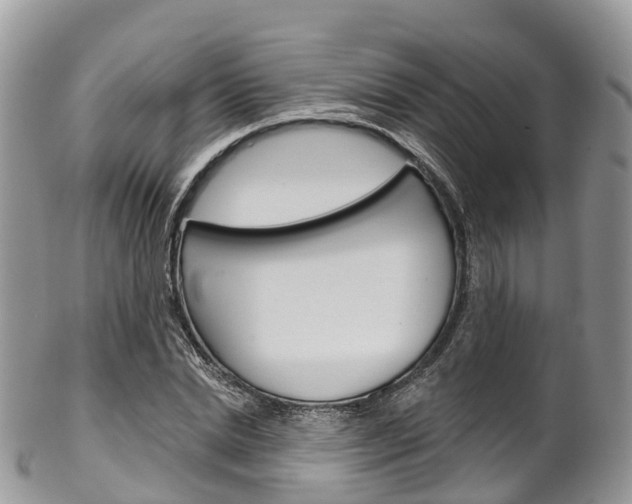 X0000102790830200808180951