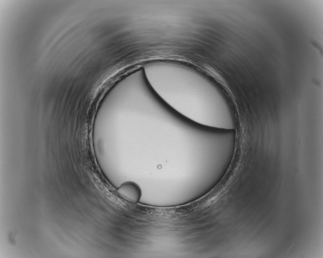 X0000102790831200808180952