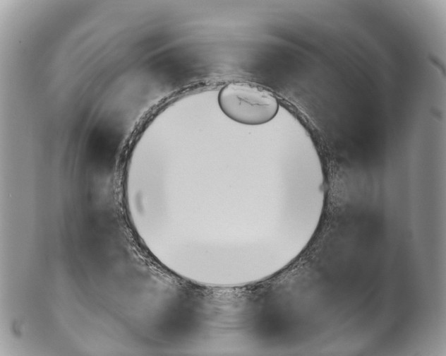 X0000102790832200808180952