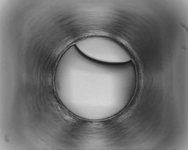 X0000102790833200808180952