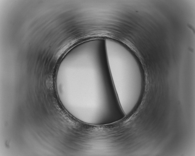 X0000102790834200808180952