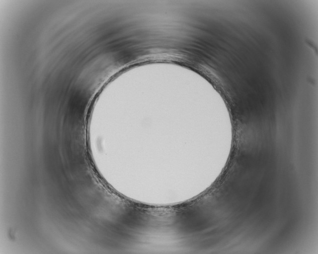 X0000102790836200808180952