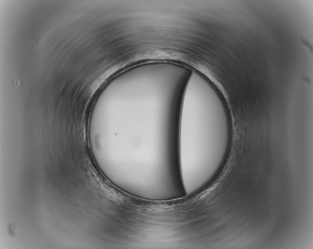 X0000102790837200808180952