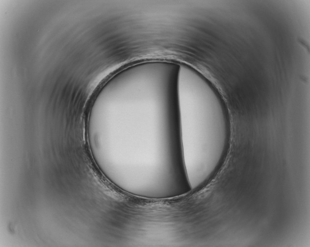 X0000102790838200808180952