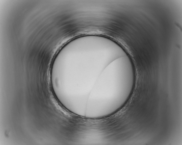 X0000102790840200808180952