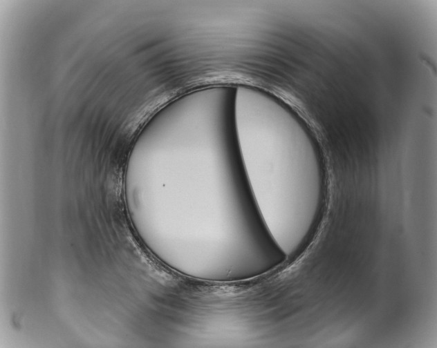 X0000102790841200808180952