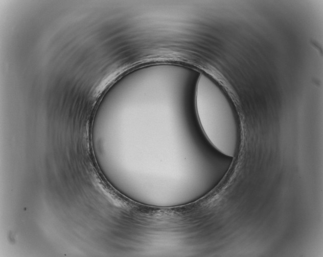 X0000102790842200808180952